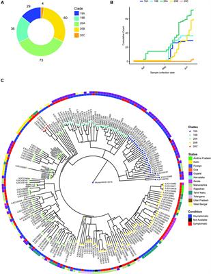 Analysis of Indian SARS-CoV-2 Genomes Reveals Prevalence of D614G Mutation in Spike Protein Predicting an Increase in Interaction With TMPRSS2 and Virus Infectivity